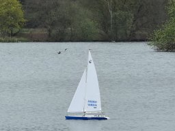 Ansegeln mit den SMC Gifhorn 2026